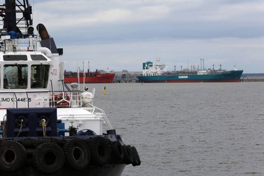 Стало известно, сколько может стоить перенос петербургского порта в Усть-Лугу