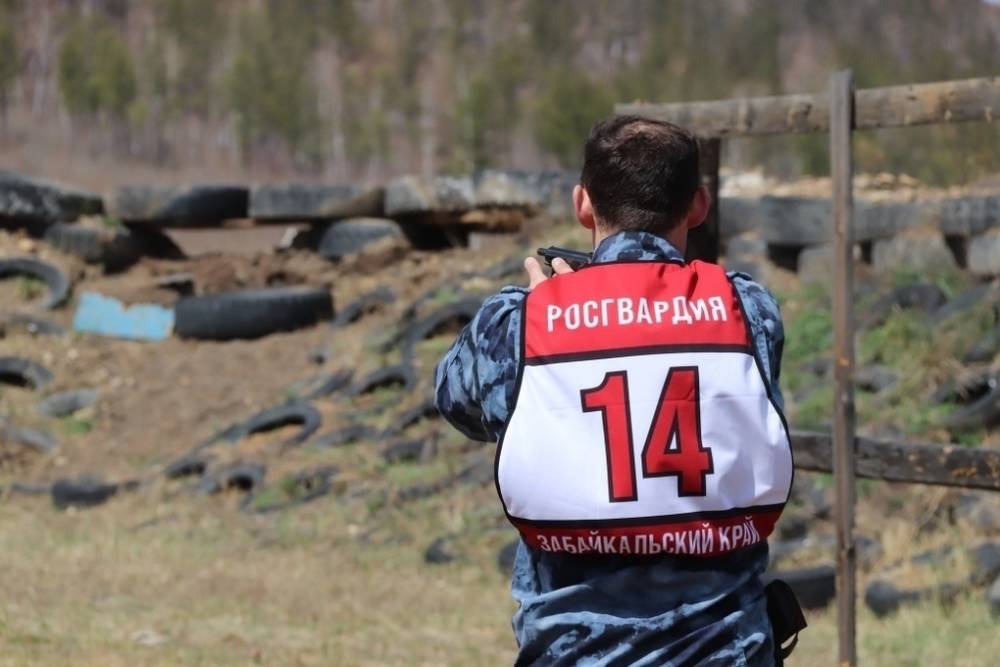 Депутаты в Забайкалье поддержали идею об охране школ бойцами Росгвардии