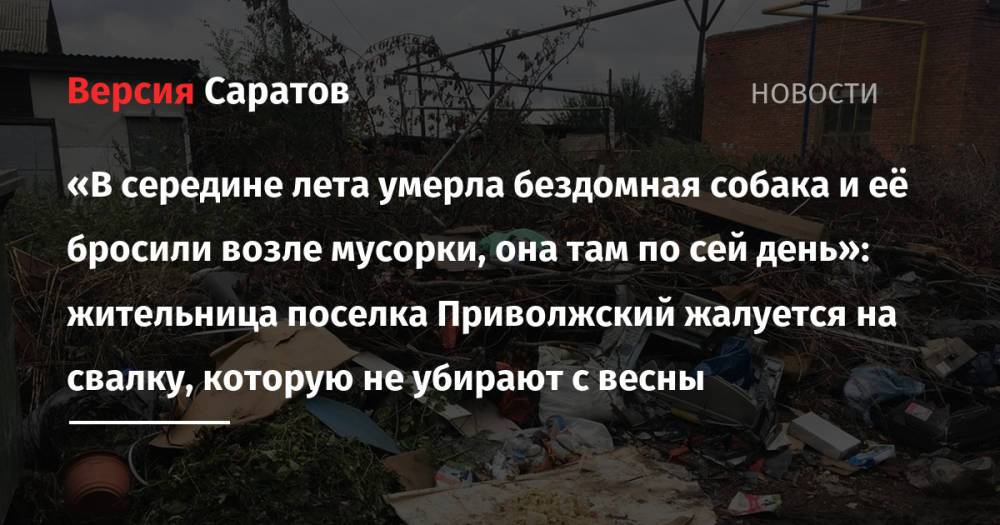 «В середине лета умерла бездомная собака и её бросили возле мусорки, она там по сей день»: жительница поселка Приволжский жалуется на свалку, которую не убирают с весны