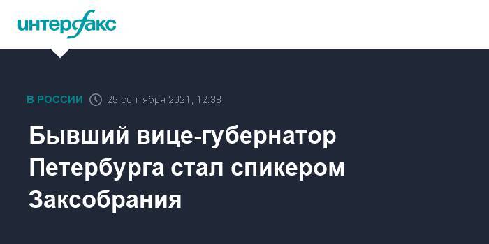 Бывший вице-губернатор Петербурга стал спикером Заксобрания