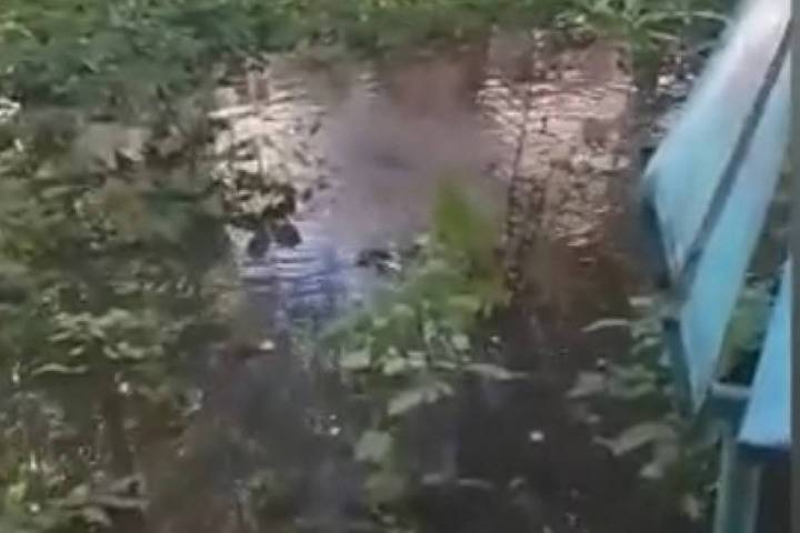 Водоканал устраняет прорыв канализации на улице Великанова в Рязани