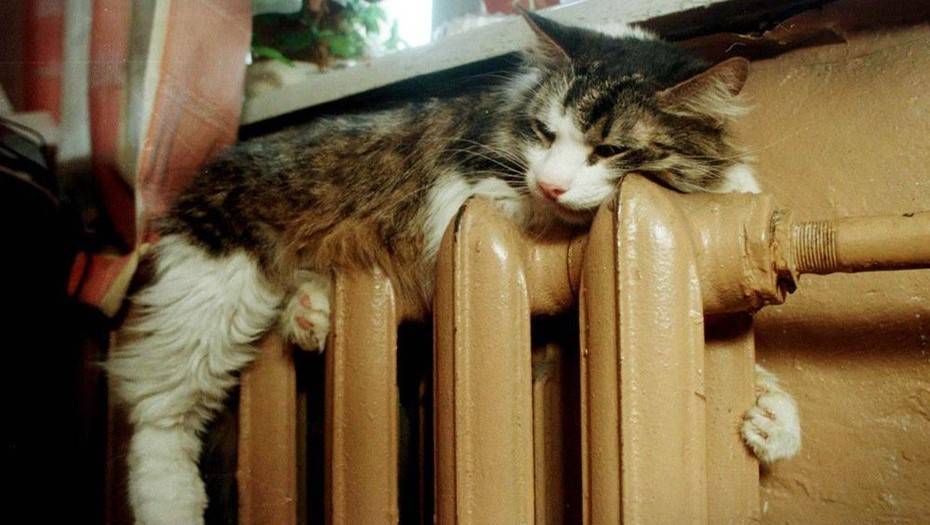Отопление в многоквартирных домах в Петербурге появится в середине сентября