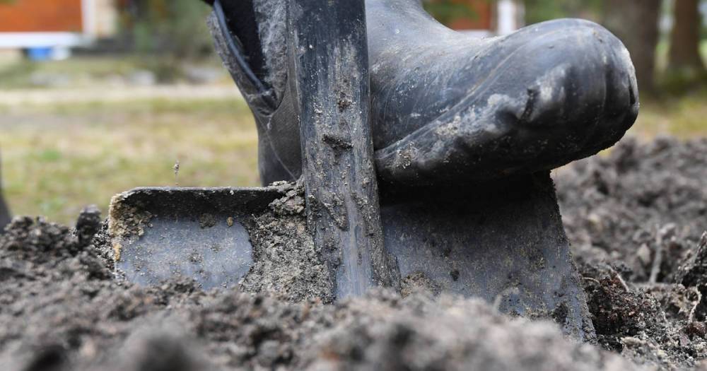 Вандалы раскопали место захоронения жертв Холокоста на Украине
