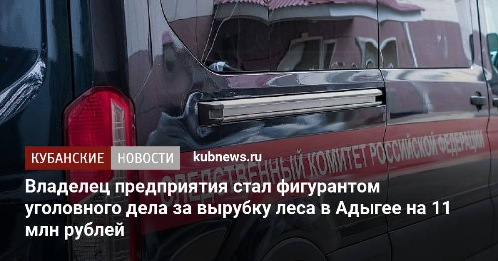 Владелец предприятия стал фигурантом уголовного дела за вырубку леса в Адыгее на 11 млн рублей