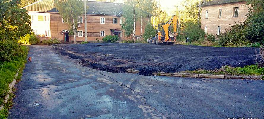 Жители Петрозаводска возмущены уничтожением зеленых насаждений в одном из дворов города