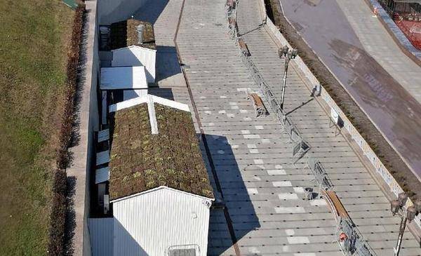 В Тюмени на крышах набережной высадили 240 кассет микса цветущей травы