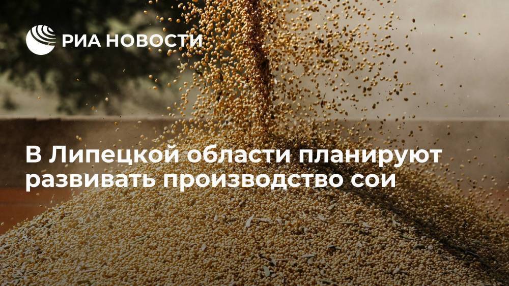 В Липецкой области планируют развивать производство сои