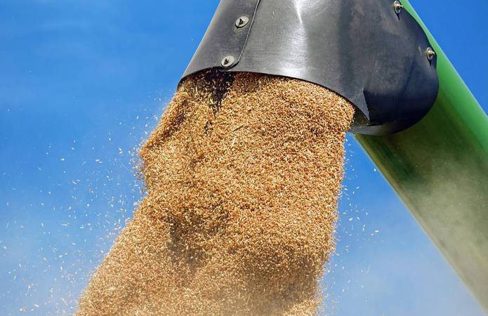 Украина собрала рекордный урожай ранних зерновых культур