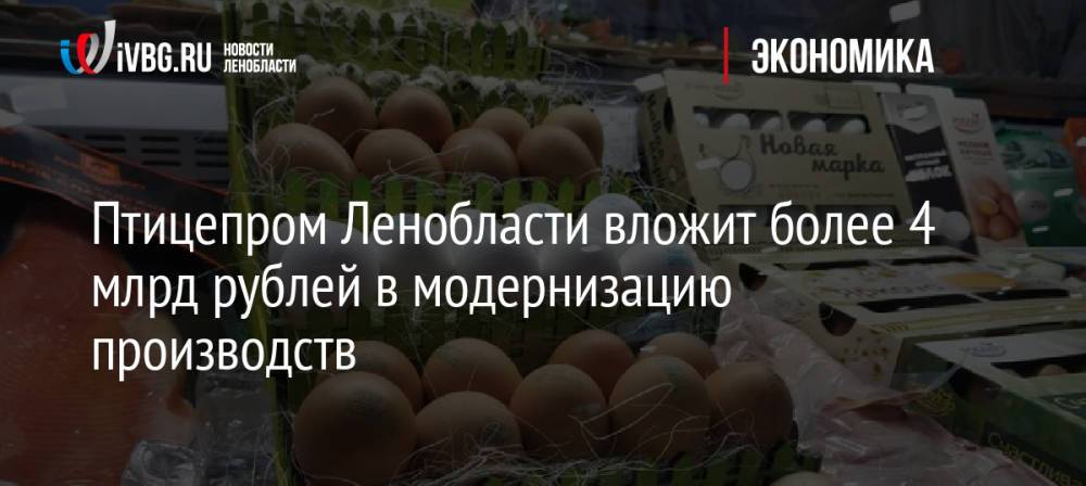 Птицепром Ленобласти вложит более 4 млрд рублей в модернизацию производств