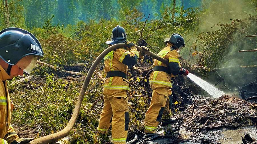 В МЧС рассказали о ситуации с пожаром в мордовском заповеднике