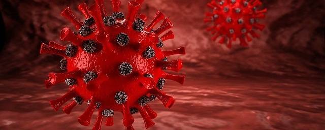 В Свердловской области побили суточный антирекорд по смертности от коронавируса
