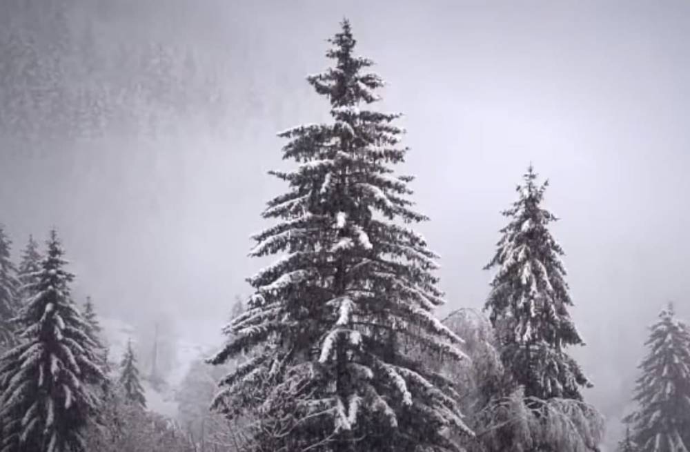 Снеговиков может и не быть: синоптики рассказали, какой будет погода на Новый год и зимой
