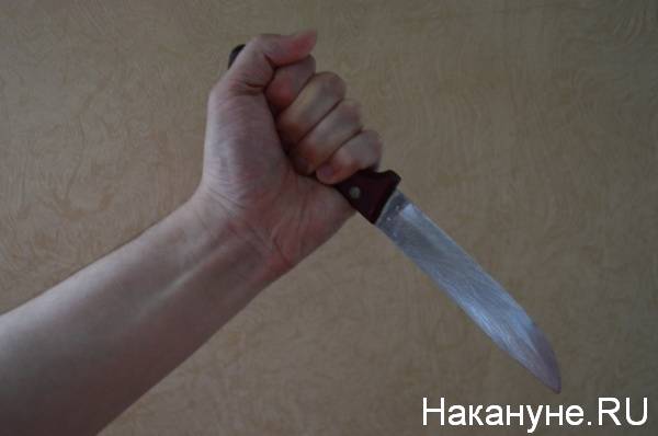 В Екатеринбурге пенсионерка угрожала ножом беременной риелтору, заподозрив ее в краже джинсов