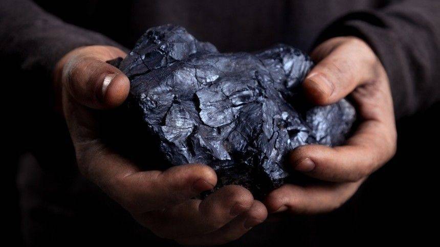Оставшаяся без газа Европа просит у России увеличить поставки угля