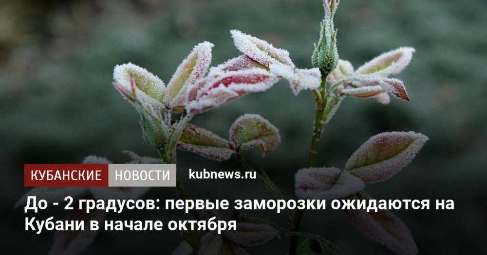 До - 2 градусов: первые заморозки ожидаются на Кубани в начале октября