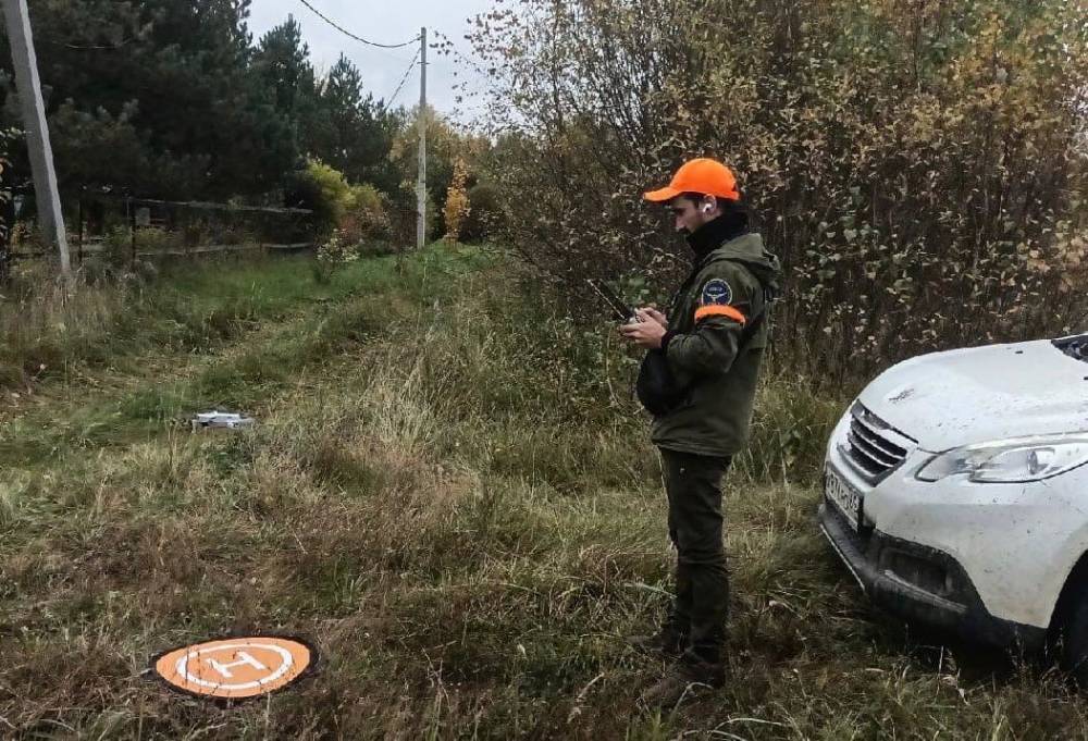 В Тверской области волонтеры просят помощи в поисках пропавшей в лесу бабушки – нужны беспилотники и охотничьи собаки