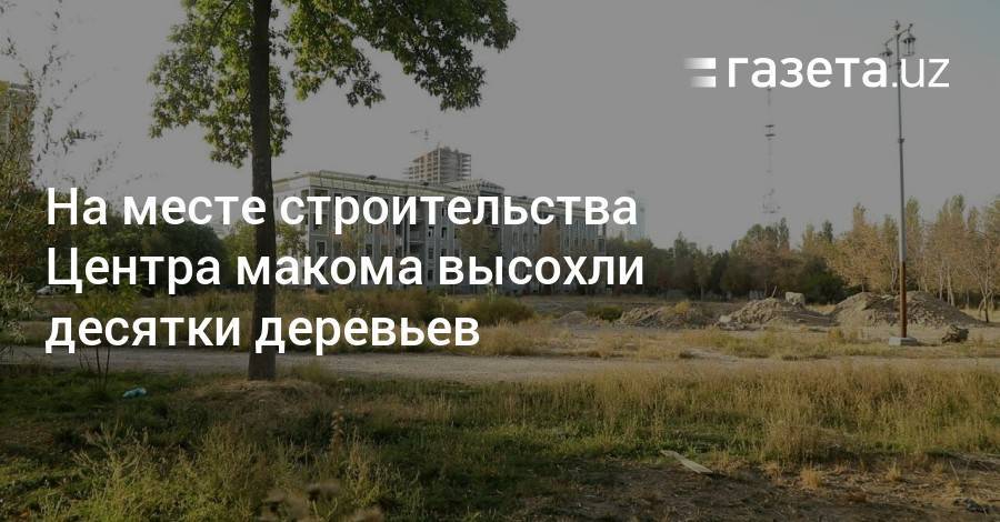 На месте строительства Центра макома высохли десятки деревьев