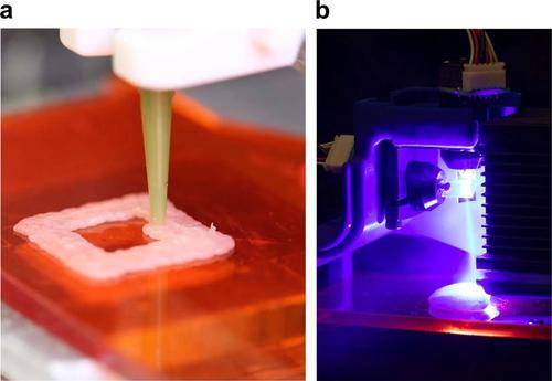 Ученые напечатали на 3D принтере курятину и поджарили лазером