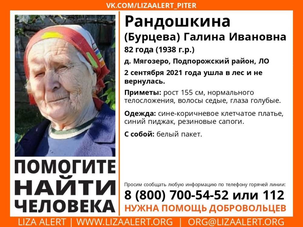 В Ленобласти без вести пропала 82-летняя пенсионерка, ушедшая в лес