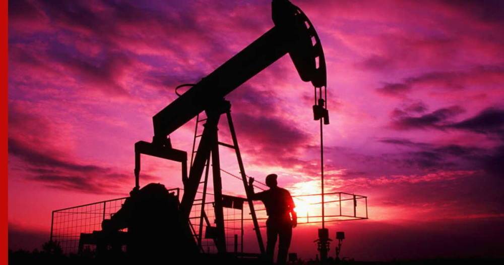 Сколько нефти приходится на жителя России, посчитал эксперт