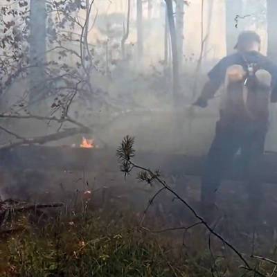18 природных пожаров ликвидировали за сутки в Свердловской области