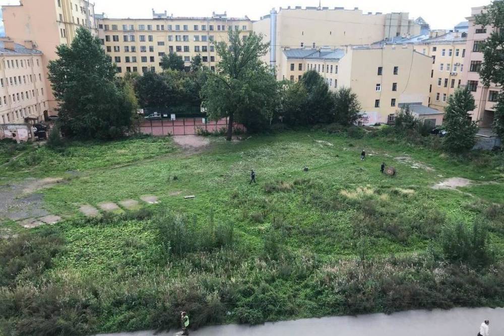 На Петроградской выкосили сад, который петербуржцы облагородили своими руками
