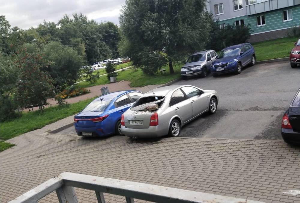 Баклажка с водой и бычками упала на автомобиль с многоэтажки в Санкт-Петербурге