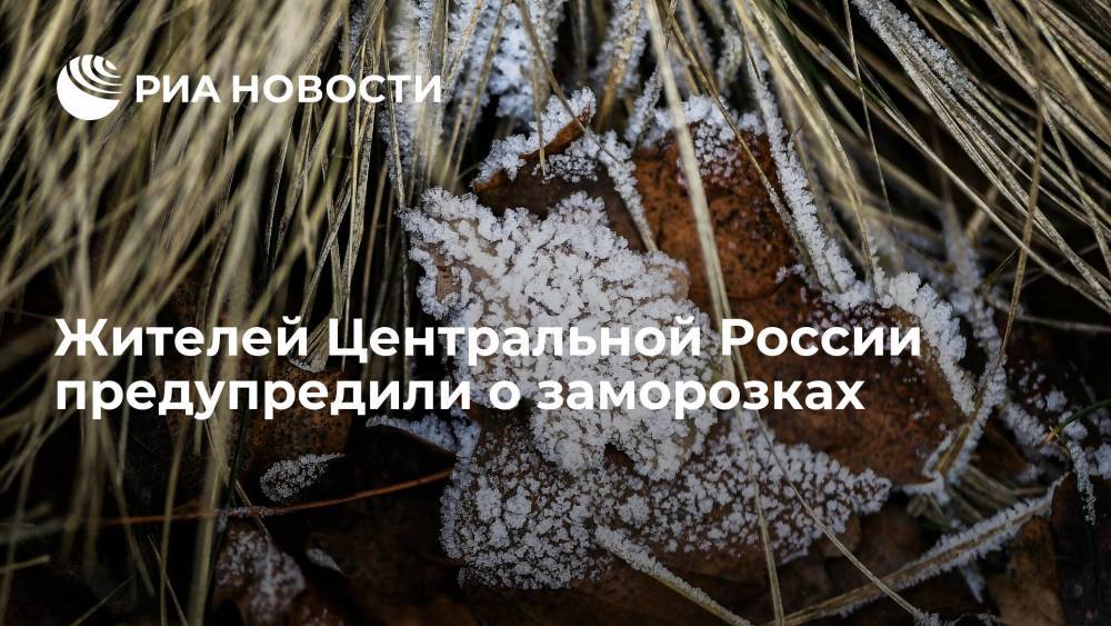Синоптик Тишковец: заморозки возможны в Центральной России в ночь на понедельник