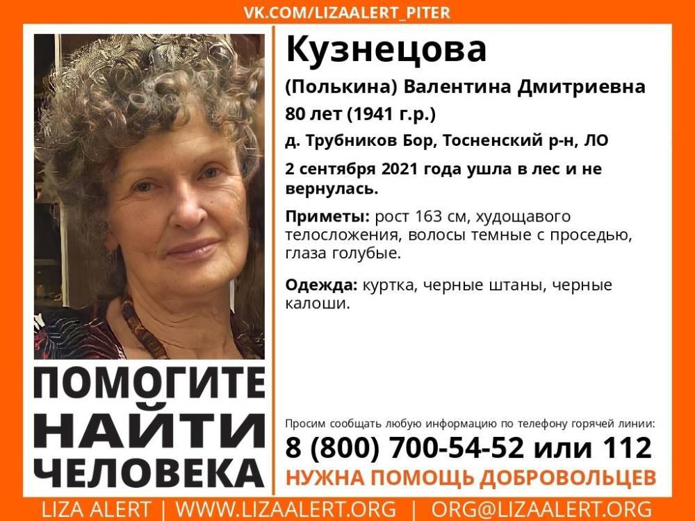 В Тосненском районе без вести пропала 80-летняя женщина