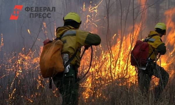 Омским поселениям грозят лесные пожары