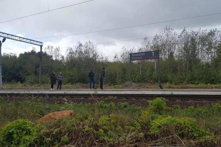 Под Рязанью поезд насмерть сбил 39-летнего инвалида
