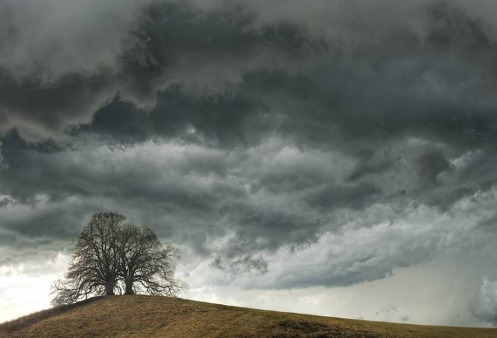 В Ленобласти объявлено штормовое предупреждение 6 сентября