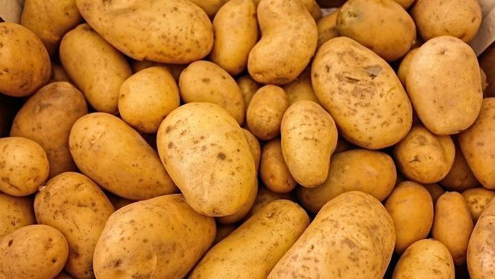 Московская область стала первой в России по объему производства картофеля