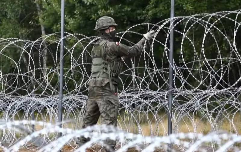 Экс-командир польского спецназа раскритиковал забор на границе с Беларусью