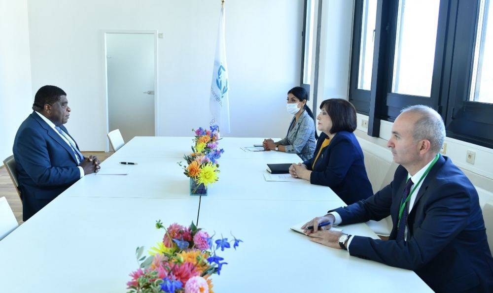 Обсуждены перспективы сотрудничества между Милли Меджлисом Азербайджана и Межпарламентским союзом