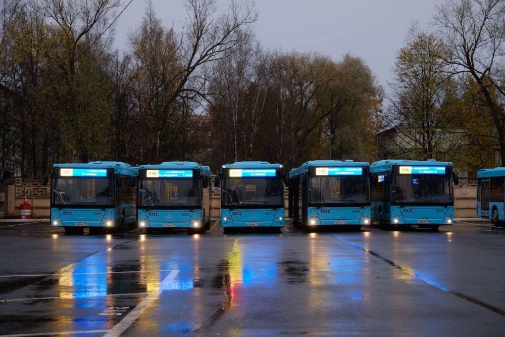 На Витебском проспекте Петербурга появится парк для экоавтобусов