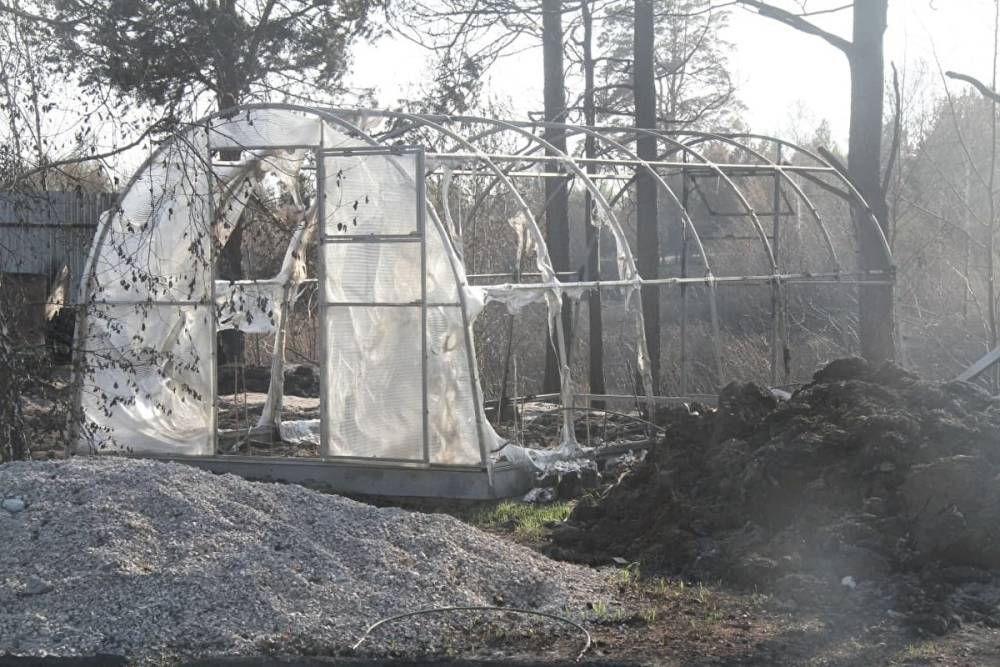 После вмешательства силовиков пострадавшие от пожара тюменские дачники получат ₽15 млн