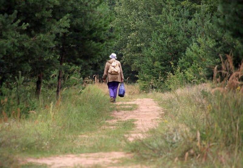 «Срочно! Выезд! Лес!» В Смоленской области пропала женщина