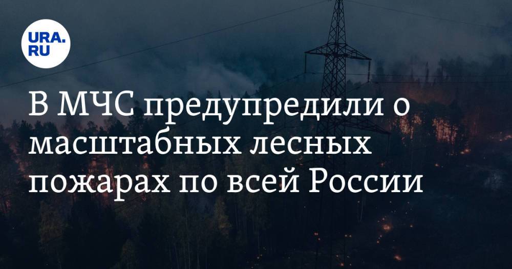 В МЧС предупредили о масштабных лесных пожарах по всей России