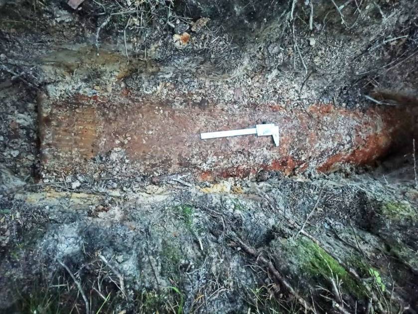 Грибник нашел снаряд весом в полтонны возле музея-заповедника в Ломоносове
