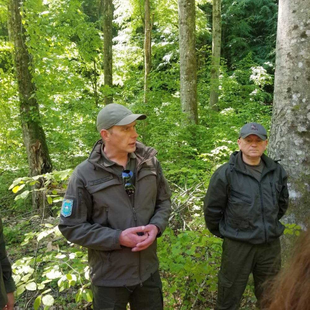 Незаконная вырубка лесов в Хмельницкой области: Госэкоинспекция добилась наказания для нарушителя, суд вынес приговор