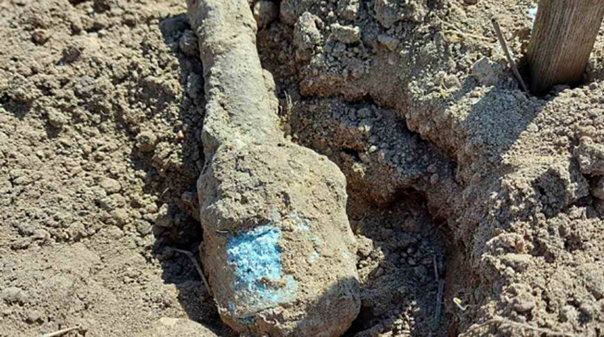 Житель Барановичского района собирал камни и нашел гранату времен войны