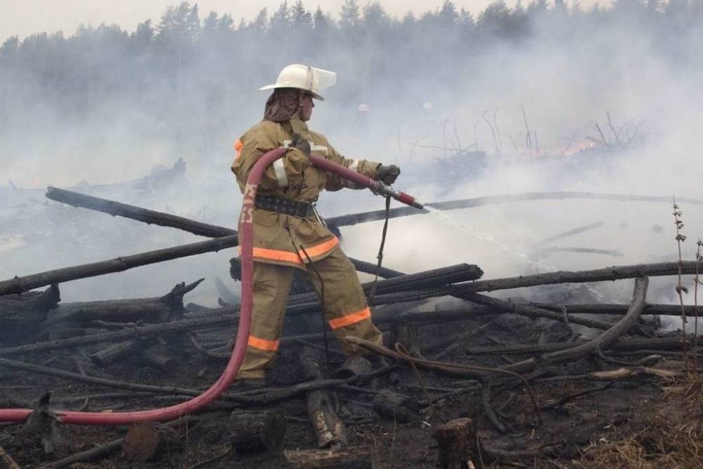 В Башкирии потушили все лесные пожары