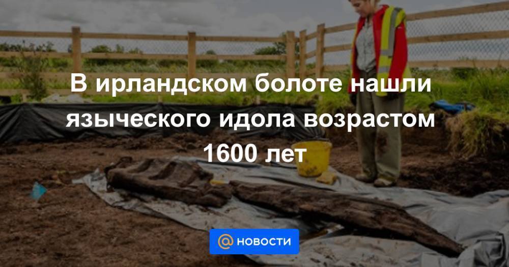 В ирландском болоте нашли языческого идола возрастом 1600 лет