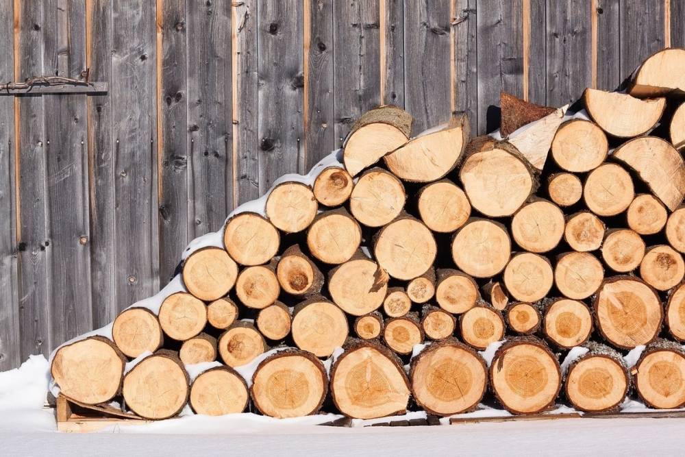 Зима близко: в районе Карелии есть проблемы с поставкой дров