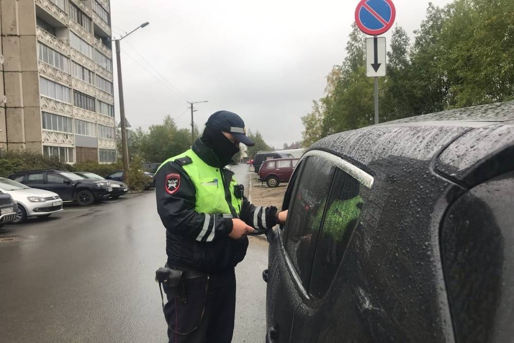 В Карелии автоинспекторы проверили, как водители соблюдают правила перевозки детей