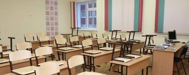 Минобразования Рязани рекомендует не проводить занятия в школах накануне выборов в Госдуму РФ