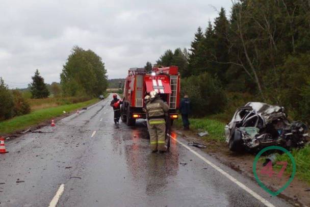 Под Приозерском водитель легковушки погиб в лобовом ДТП с грузовиком – фото