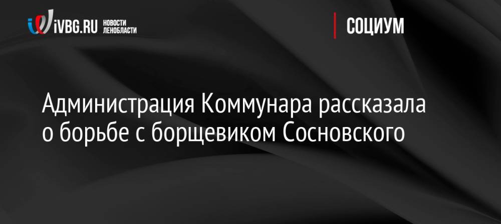 Администрация Коммунара рассказала о борьбе с борщевиком Сосновского