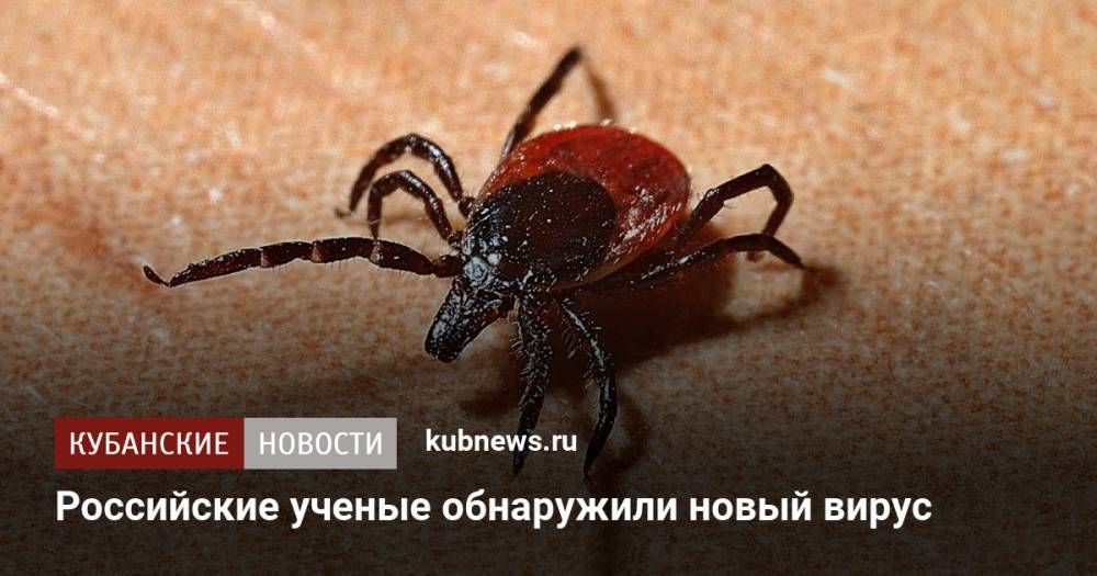 Российские ученые обнаружили новый вирус
